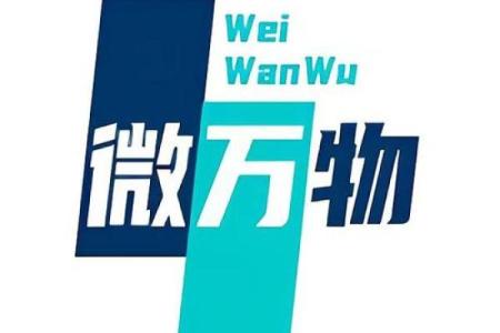 微的好名字：探索符合品牌精神的命名艺术