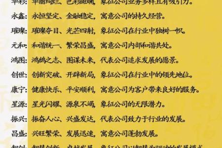从生日到品牌：为公司起名的个性化方案