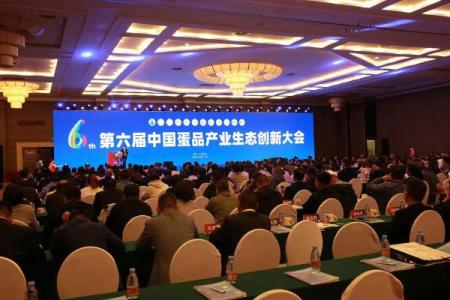 创新鸡蛋生产企业名称创意集锦
