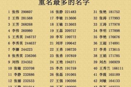 探索全国名字查询平台，揭示你的名字背后含义