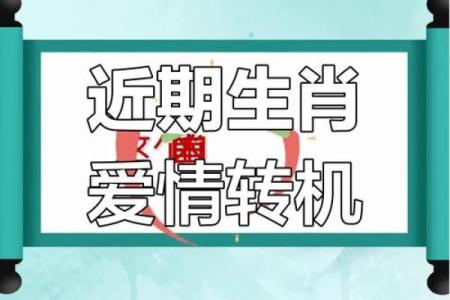 生肖运势运程大解析，财富与爱情双丰收