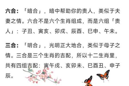 属相相合相克大揭秘：你的配对如何