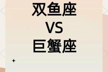 属虎男和属鼠女的星座婚配解析