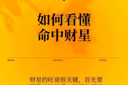 财源是归命：如何理解财富与命运的辩证关系