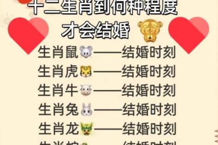 出生属相与命运走向分析