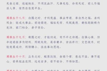猴年运程：如何把握今年的关键时刻