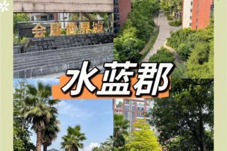 X地产助力打造未来城市的理想家园
