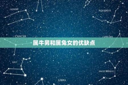 属牛男和属兔女的相处之道