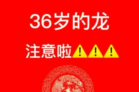 本命年龙女如何克服自身局限