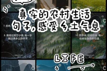 晨风拂面：赋予公司名字清晨气息的灵感