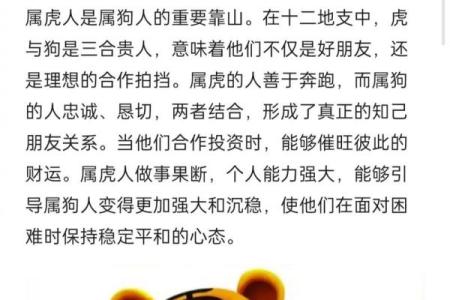 属兔和属虎适合做朋友吗