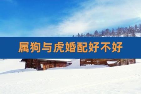 属虎男和属狗女能走到最后吗