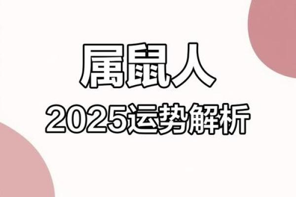 属鼠本命年爱情运势如何 属鼠本命年爱情运势如何