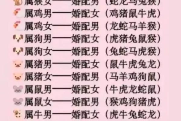 属兔男与属鼠女的爱情契合度分析 属兔男与属鼠女的爱情契合度分析
