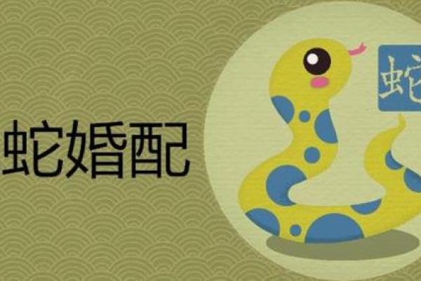 属虎和属蛇的配对优缺点分析 属虎和属蛇的配对优缺点分析
