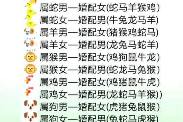属狗和属鼠的婚配是否和谐分析