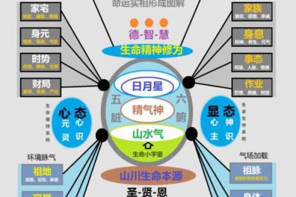 出生的命运解析与人生轨迹