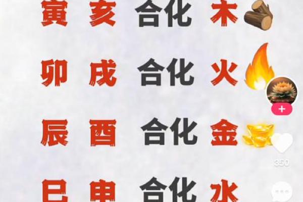 什么是双甲命及其在命理中的深刻含义