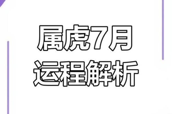 虎年运势预测:每月运程影响分析 虎年运势预测:每月运程影响分析