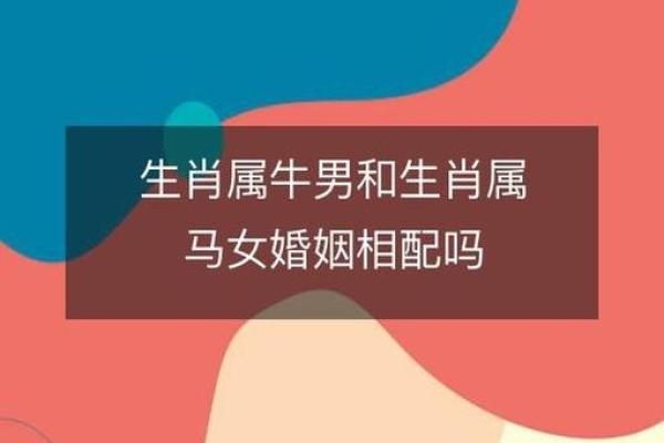 属马与属马合适结婚吗?解读两者关系中的优缺点 属马与属马合适结婚吗?解读两者关系中的优缺点