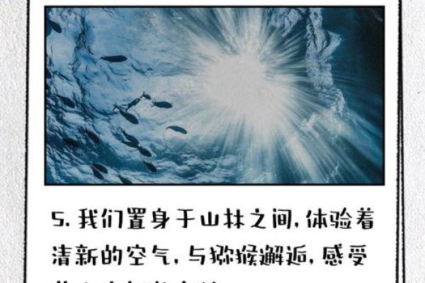 猴跟猴的配对原理与奇妙关系解析 猴跟猴的配对原理与奇妙关系解析
