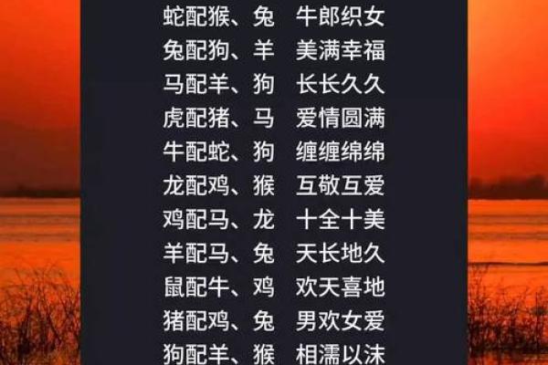 兔与蛇的婚姻契合度：性格差异与互补