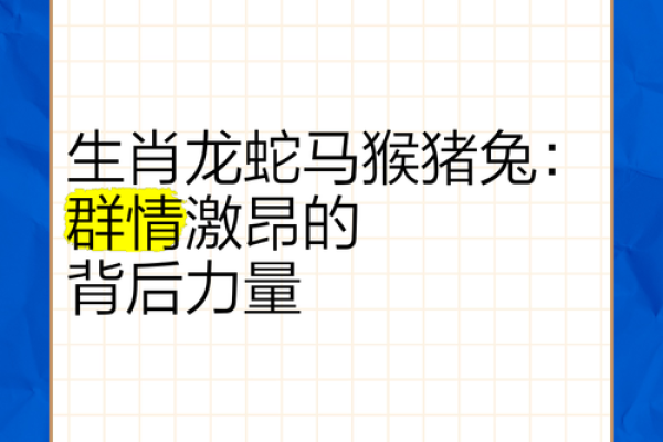 兔年与龙年性格碰撞 爱情与事业能否和谐