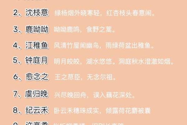 精选十个好听的小说主角名字灵感