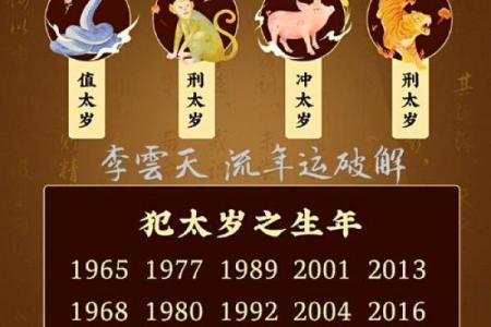 本命年属虎的财富累积与投资策略