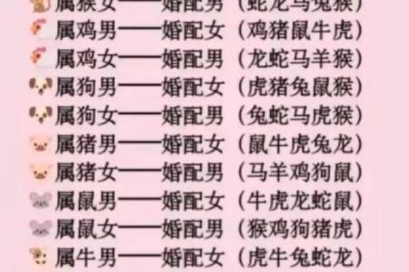 属兔男与属鼠女的爱情契合度分析