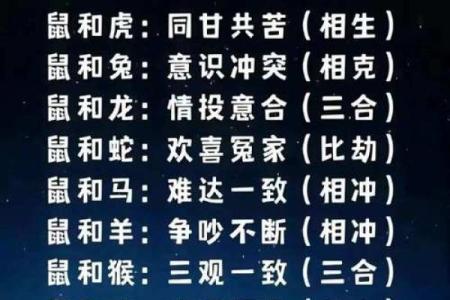 属狗和属鼠的婚配是否和谐分析