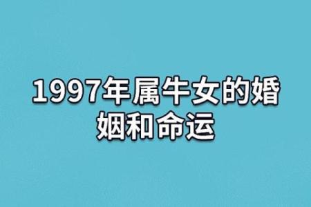 牛与虎的婚姻匹配度分析：两者能否和谐共生？