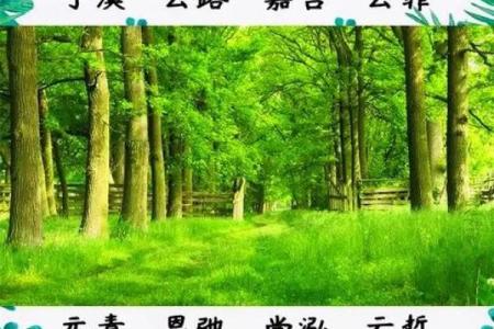 宝宝起名的文化与风水考量