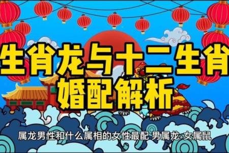 属龙与哪些属相最相配 解析最佳婚配与合作关系
