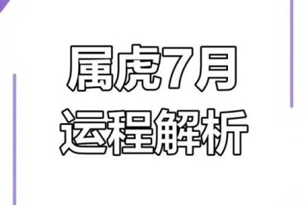 虎年运势预测：每月运程影响分析