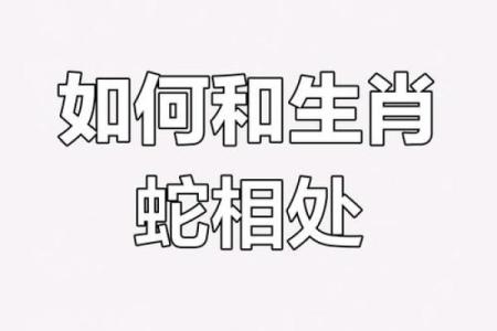 属蛇女与属马男的相处之道