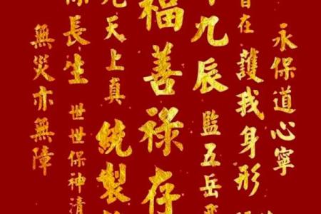 从历史角度看拜命字仪式的独特作用