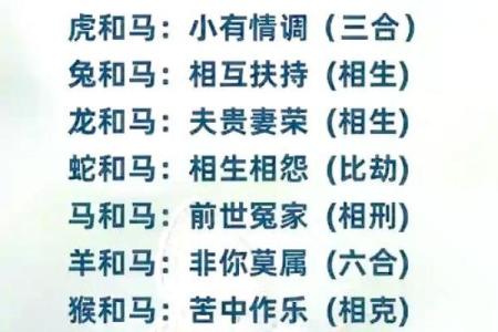 蛇马婚姻是否合适？揭秘属蛇与属马的相配度分析