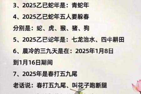 本命年蛇女如何应对事业低谷