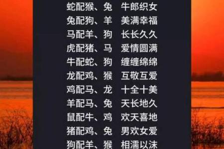 兔与蛇的婚姻契合度：性格差异与互补