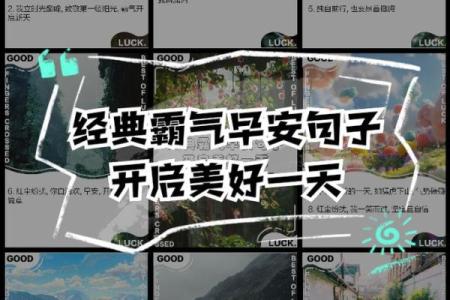 从晨曦到巅峰：带晨字的公司名字象征意义解析