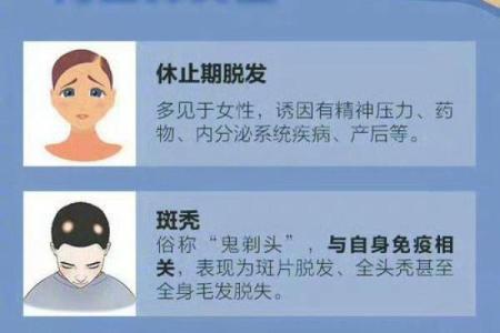 发际命解析：如何理解与预测发际线对人生的影响