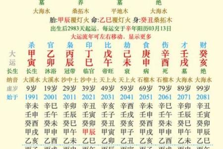 出生命理：揭开这一年命运的奥秘