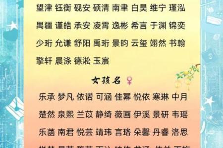 宝宝名字大全：让“免费猪”成为家族新宠
