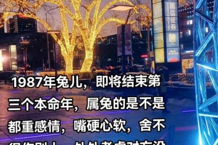 本命年兔男的精神调节技巧