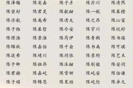 陈姓起名指南：寓意美好与音韵和谐