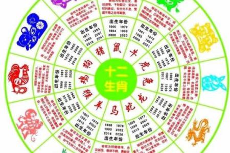 逐月分析十二生肖运程：未来一年的运势趋势如何