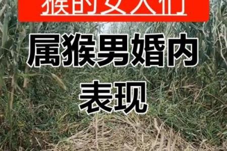猴与猴的配对：相辅相成还是相互冲突？