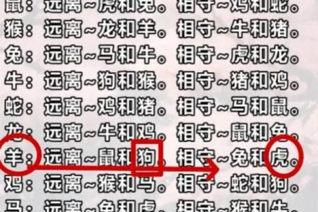 属兔男与属羊女的爱情匹配度解析