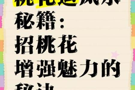 八字桃花运如何促进人际关系的提升